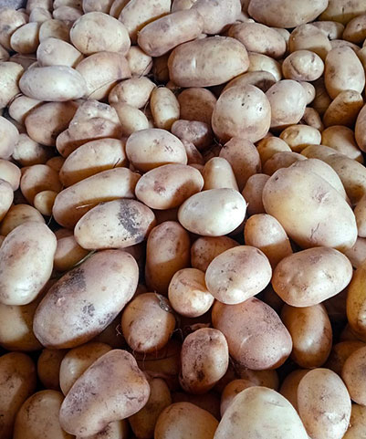 Potatoes